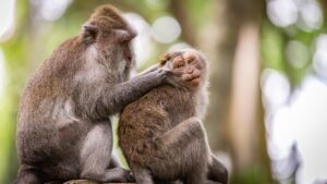 子育てしながら保育士資格取得のための効率的な学習方法は？