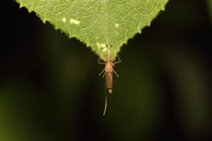 無資格でも保育園で働ける方法とは？