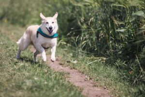 異業種から保育士への転職はどのように進めるべきか？