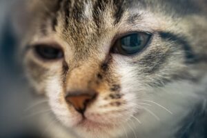 未経験から保育士として採用されるためのコツは？
