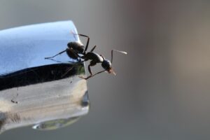 保育士未経験からの転職で働き方を改善できる方法は？